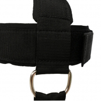 Упряжь для тренировки шеи BRONZE GYM BGAC6091